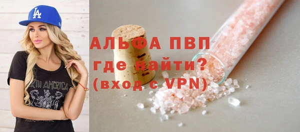 PSILOCYBIN Горняк